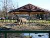 img_3737_chorzow_zoo