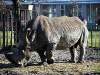 img_3739_chorzow_zoo