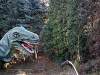 img_3759_chorzow_zoo