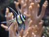 img_3887_chorzow_zoo