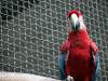 img_3929_chorzow_zoo
