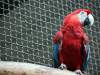 img_3930_chorzow_zoo