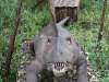 dinozatorland_17_18