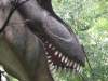 dinozatorland_33