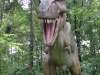 dinozatorland_44