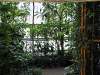 img_3320_palmiarnia_gliwice