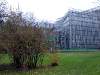 img_3576_palmiarnia_gliwice