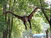 Park Dinozaurów