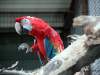img_3924_chorzow_zoo