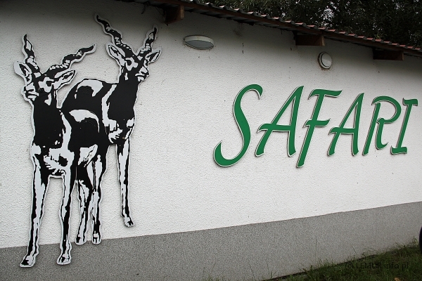 Zoo Safari - Świerkocin
