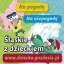 Śląskie z dzieckiem - przewodnik